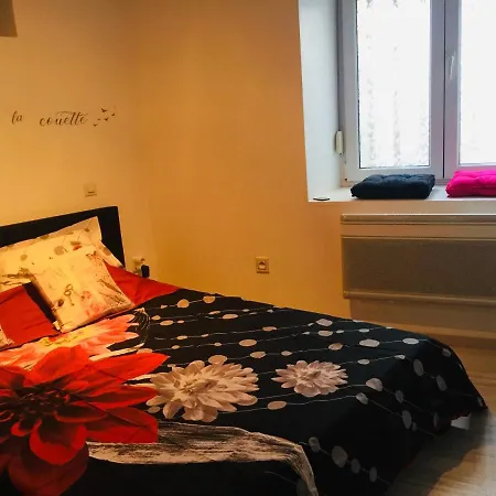 Les Cosy Apartment *